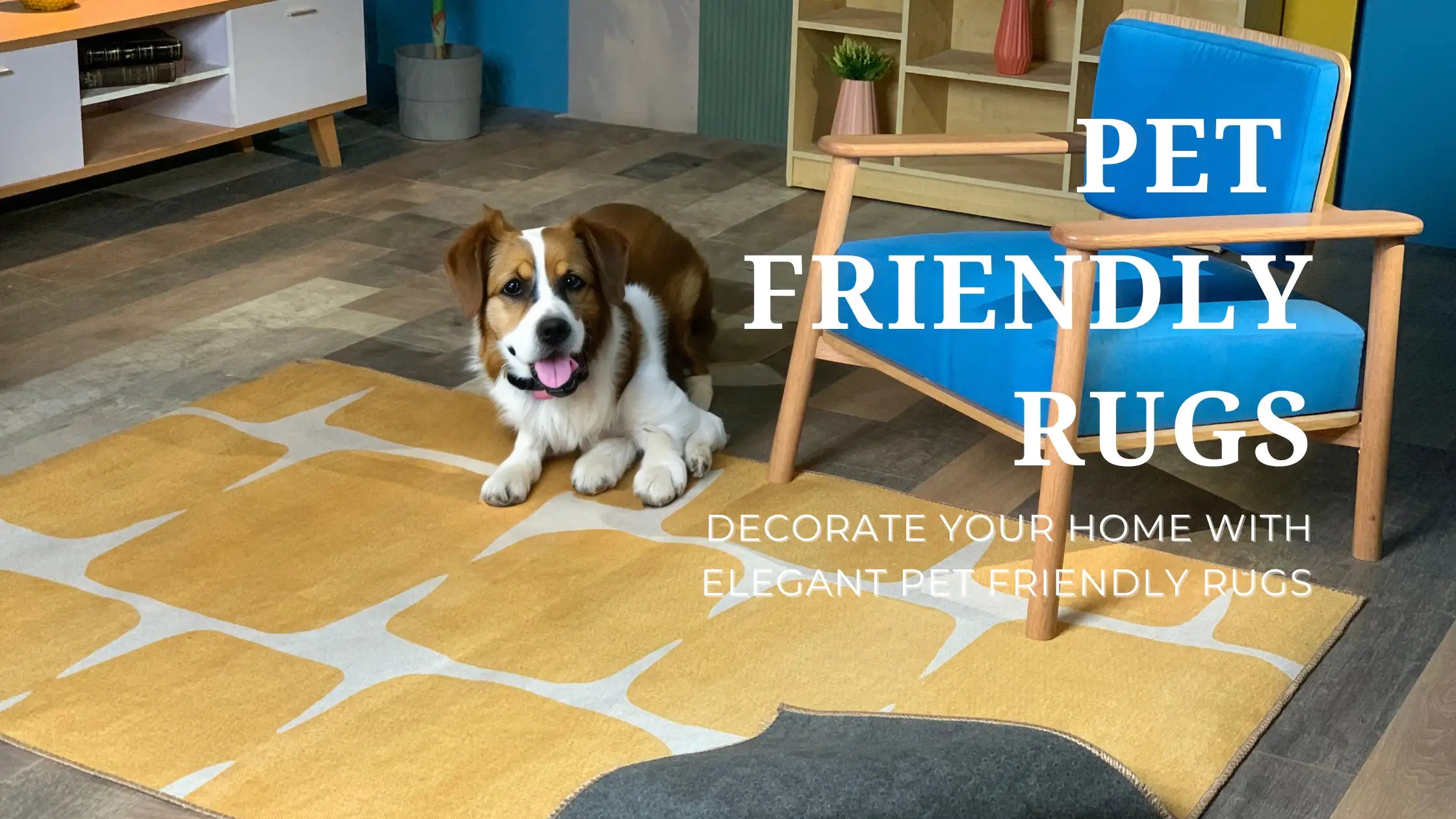 The Beginner's Guide to Pet-Friendly Carpet - Empire Today Blog